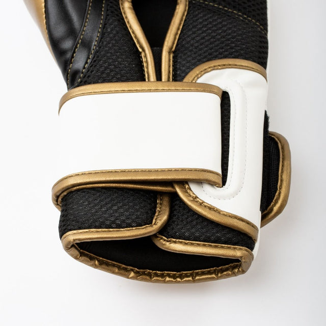 Luvas de boxe Everlast Powerlock 2R – Branco/Ouro