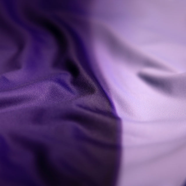 Hayabusa Rashguard Apex Nova Lange Ärmel Kinder – Lila