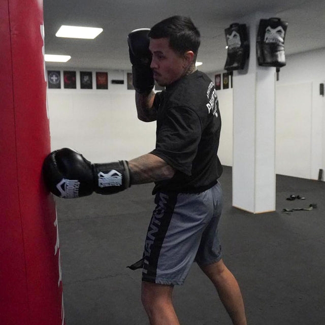 Phantom Athletics MMA-shorts EVO Apex – Grå
