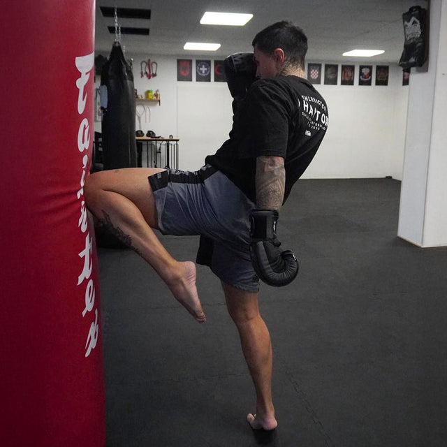 Phantom Athletics MMA-shorts EVO Apex – Grå