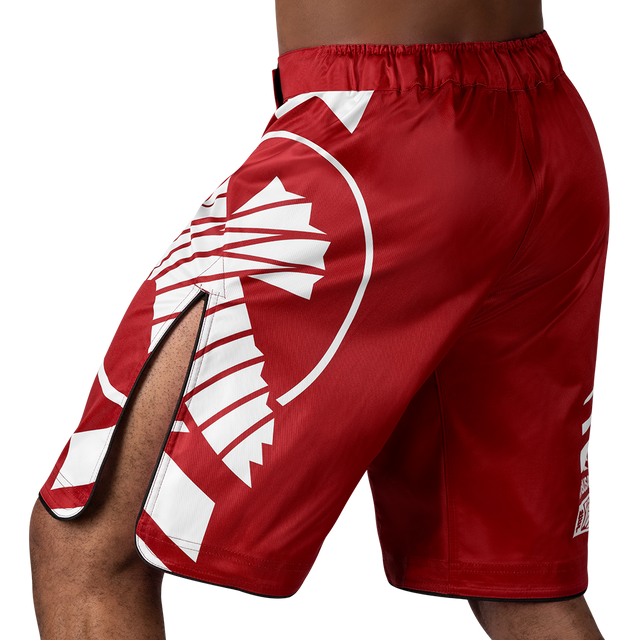 Hayabusa MMA Shorts Icon Lang – Rot/Weiß
