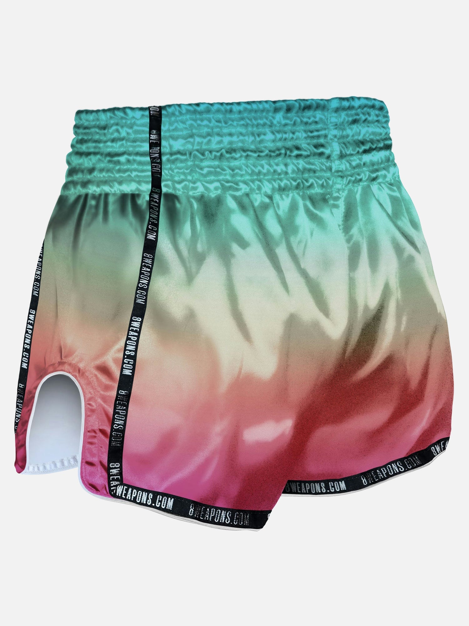 8 WEAPONS Muay Thai Shorts Vivo Mesosphere - Mesosphere