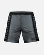Phantom Athletics MMA Shorts EVO Apex - Grijs