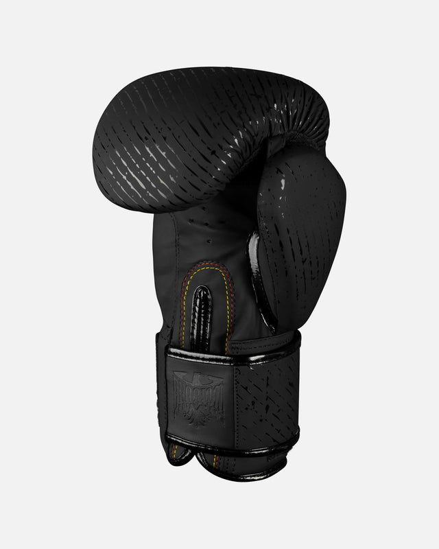 Gants de boxe Phantom Athletics Germany – Noir/Blanc
