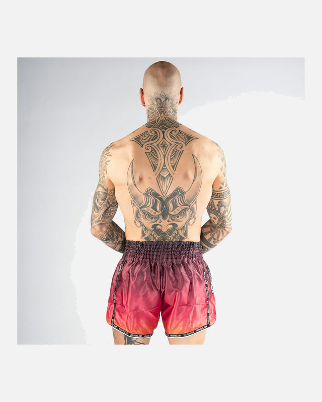 8 WEAPONS Muay Thai Shorts Vivo Sunsphere – Multicolour